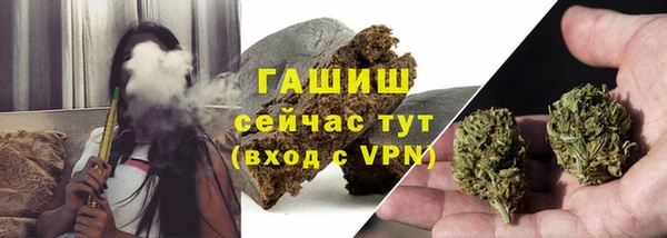 амф Ельня