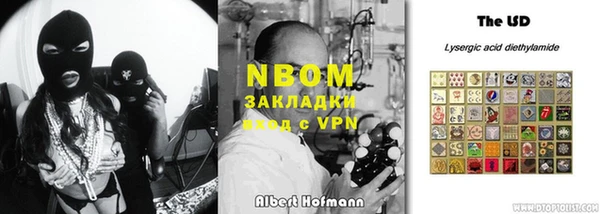амф Ельня