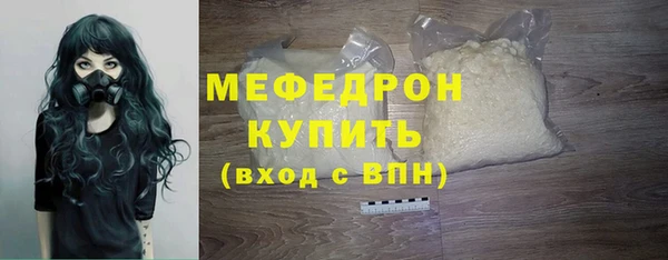 амф Ельня