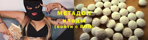 амф Ельня