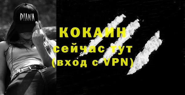 амф Ельня