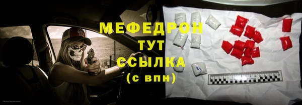 амф Ельня