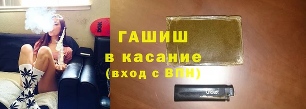 амф Ельня