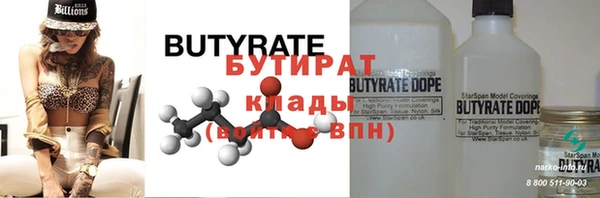 амф Ельня