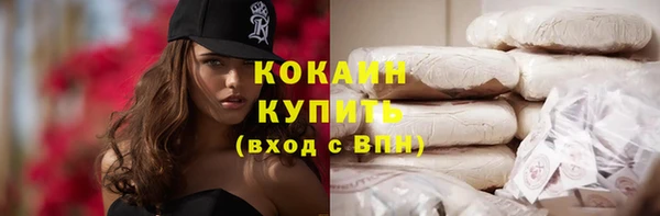 амф Ельня