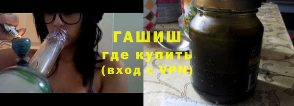 амф Ельня