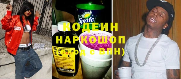 амф Ельня