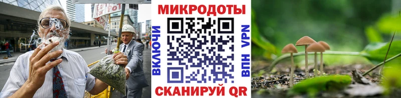 Псилоцибиновые грибы GOLDEN TEACHER  Купить  Ржев 
