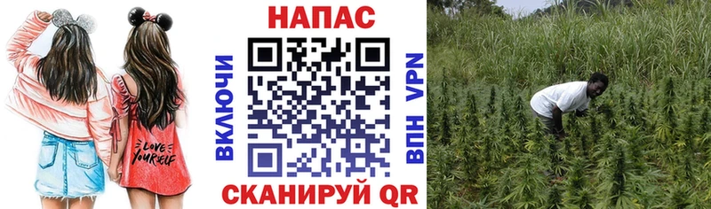 Марихуана план  Купить  Ржев 